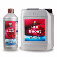 Hesi Boost