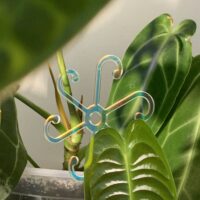 Nahaufname Stützring acryl holo mit anthurium veitchii blatt