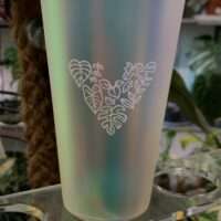 Holo-Cup